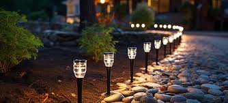 Professional Installation of Low-Voltage LED Garden Landscape Lighting