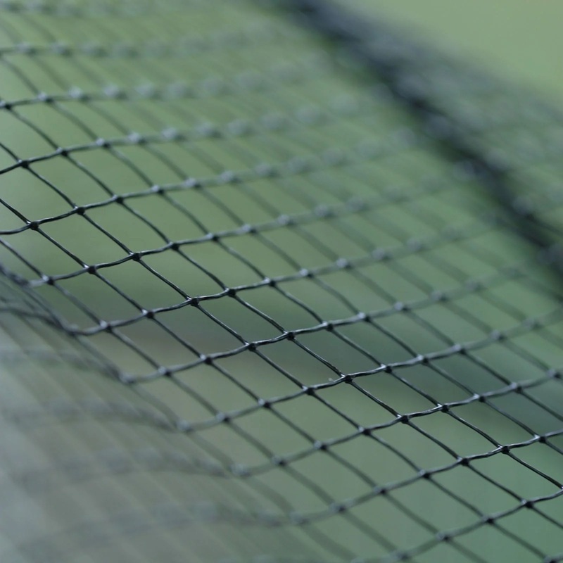 Supply and Erection of Heavy Anti-Bird Netting Systems