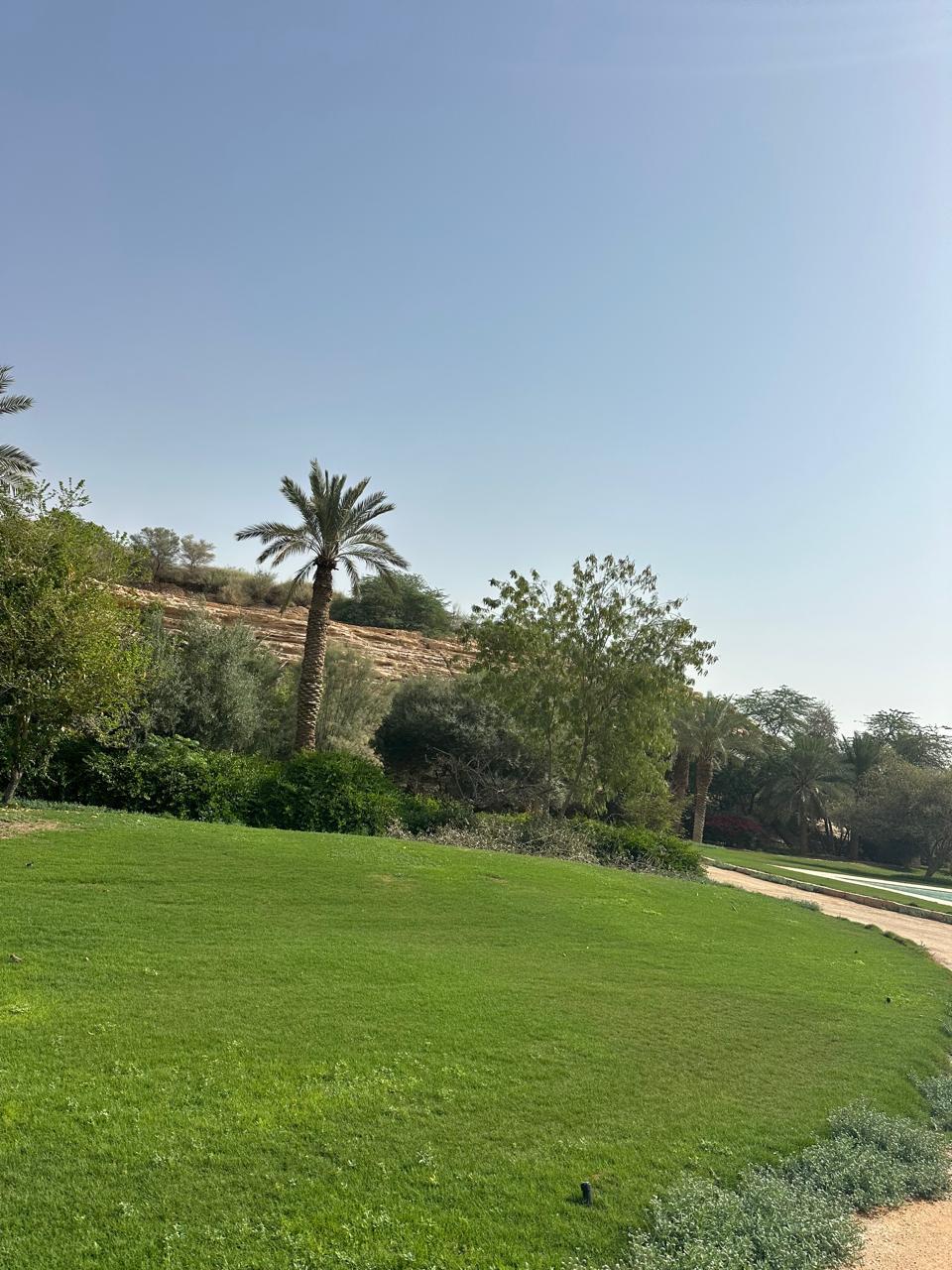 Premium Turf Grass Laying and Professional Lawn Establishment Saudi Arabia