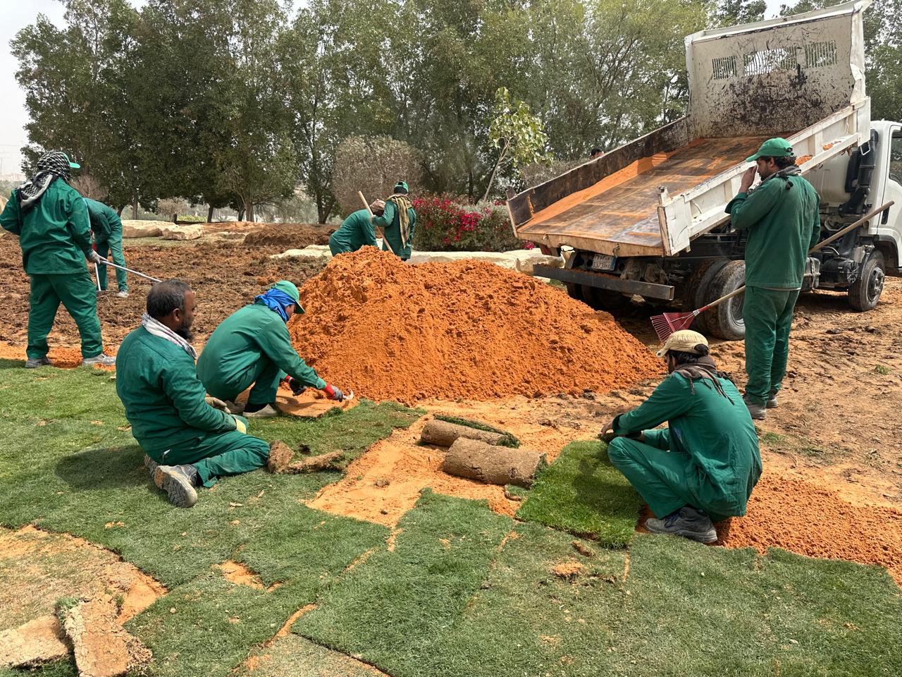 Deep Soil Works Salinity Remediation and Agricultural Land Preparation Saudi Arabia