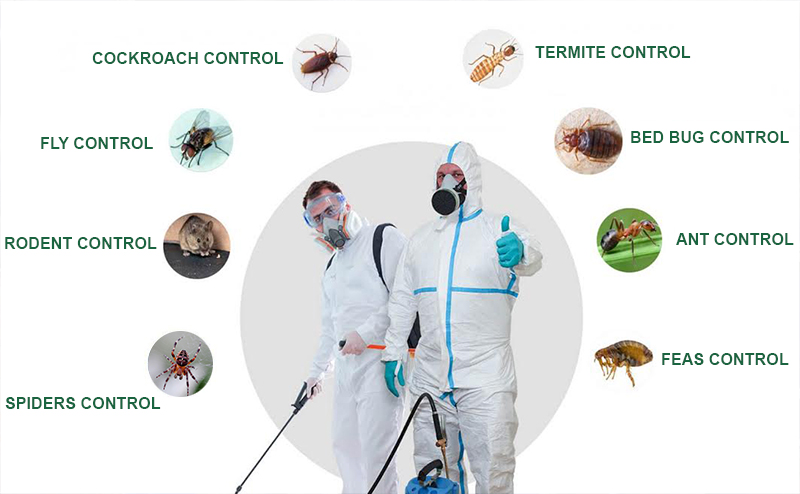 Safe Extermination of Garden Pests and Insects