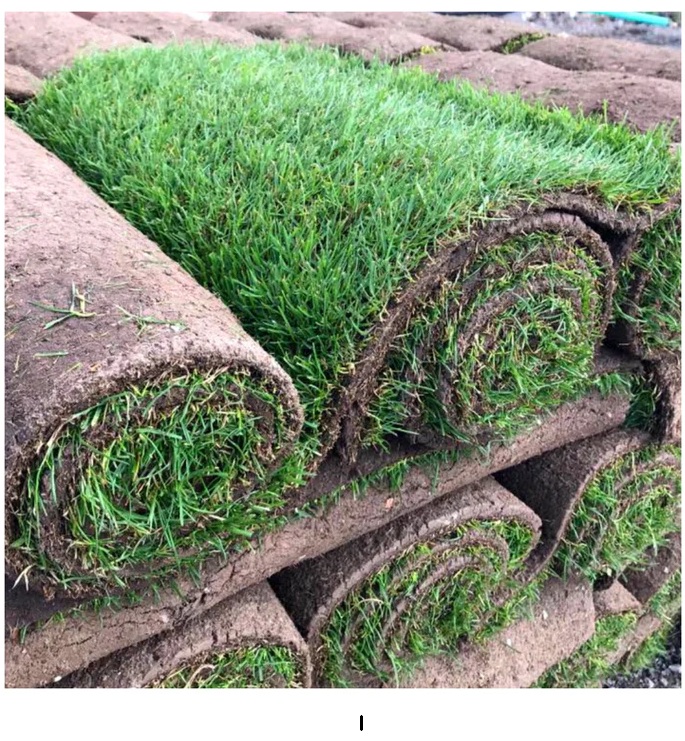 Supply and Laying of Premium Natural Flowers and Grass Sod