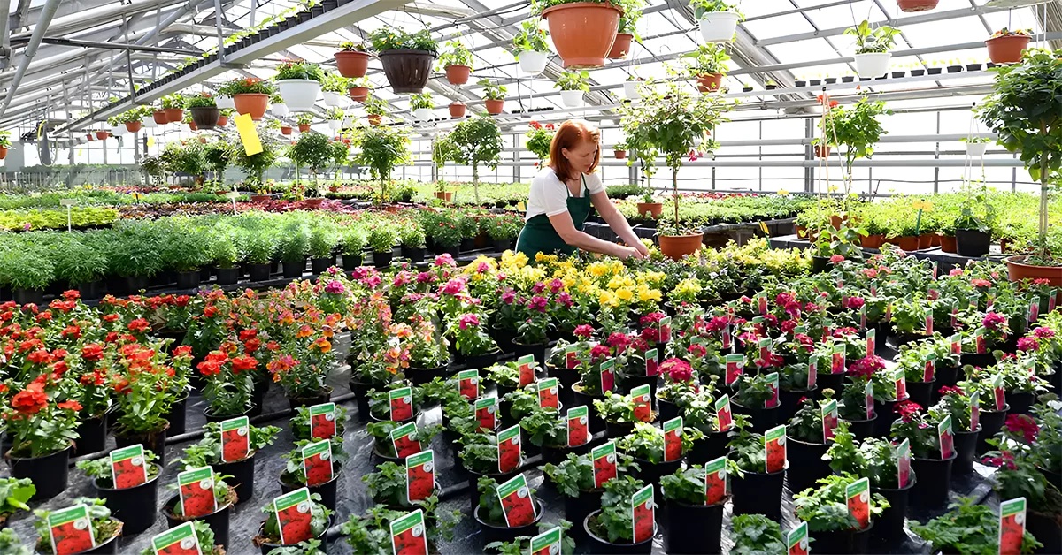 Supply and Import of Rare International Planting Varieties