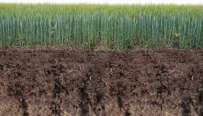 Supply and Spraying of Rich Organic Agricultural Topsoil