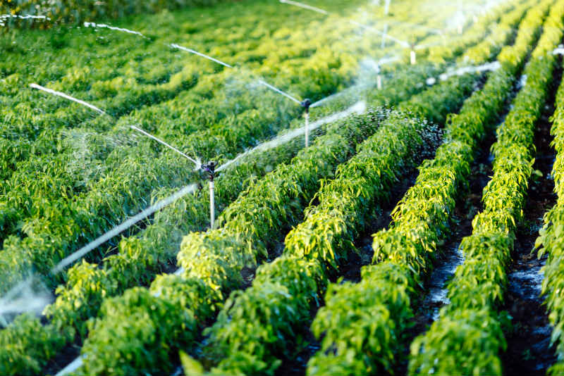 Automatic Irrigation Network Installation