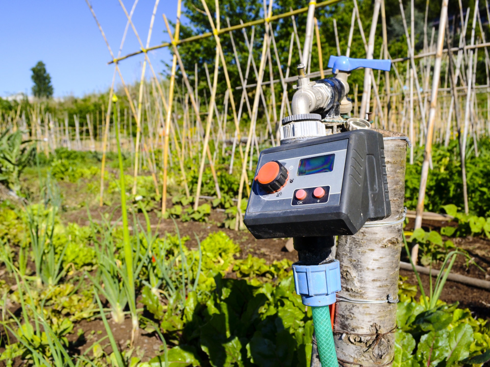 Automatic Irrigation Network Installation
