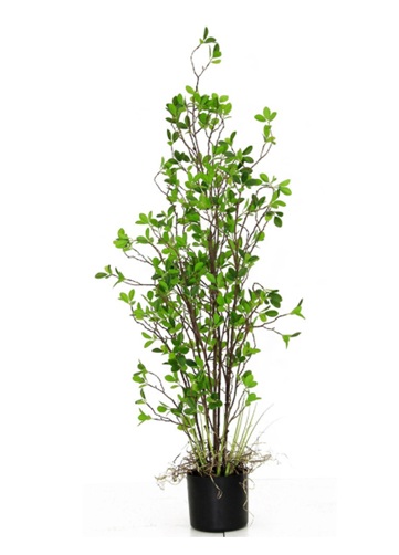 Artificial Aquatic Plant with Pot – Total Height: 120 cm
