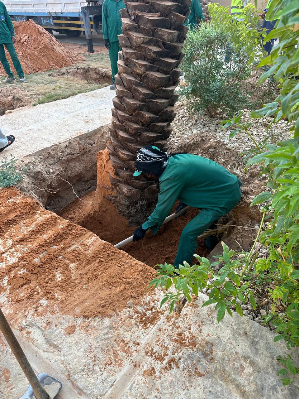 Gardens Management